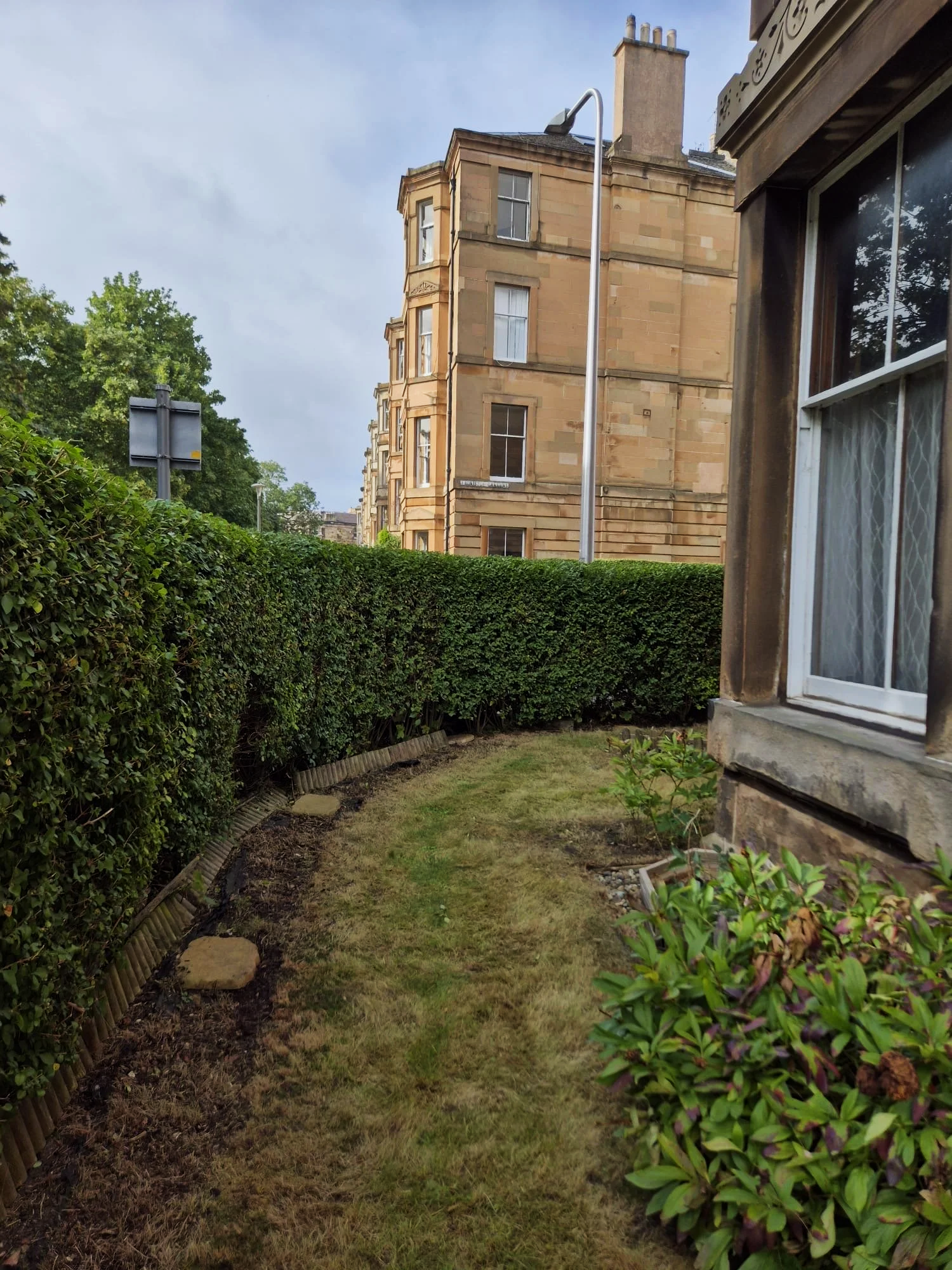 Neatly trimmed garden hedge after hedge reduction.