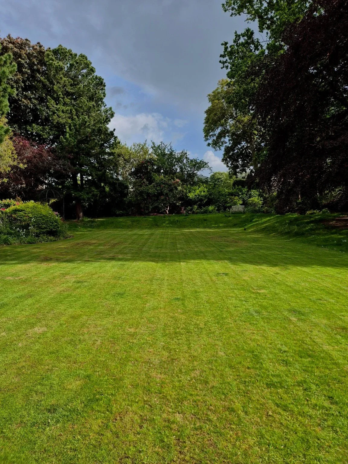 Well-maintained lawn in a landscaped garden.