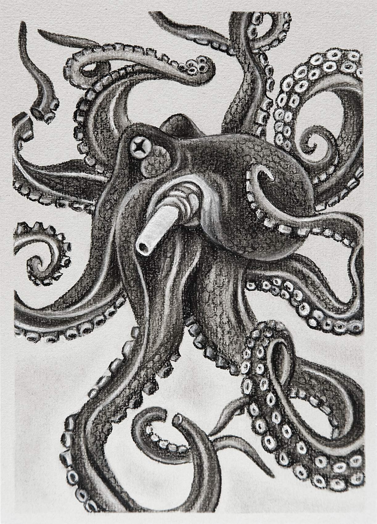 „My Octupus Teacher Dream“. Kohle auf Papier. 21 x 14,8 cm. 2023