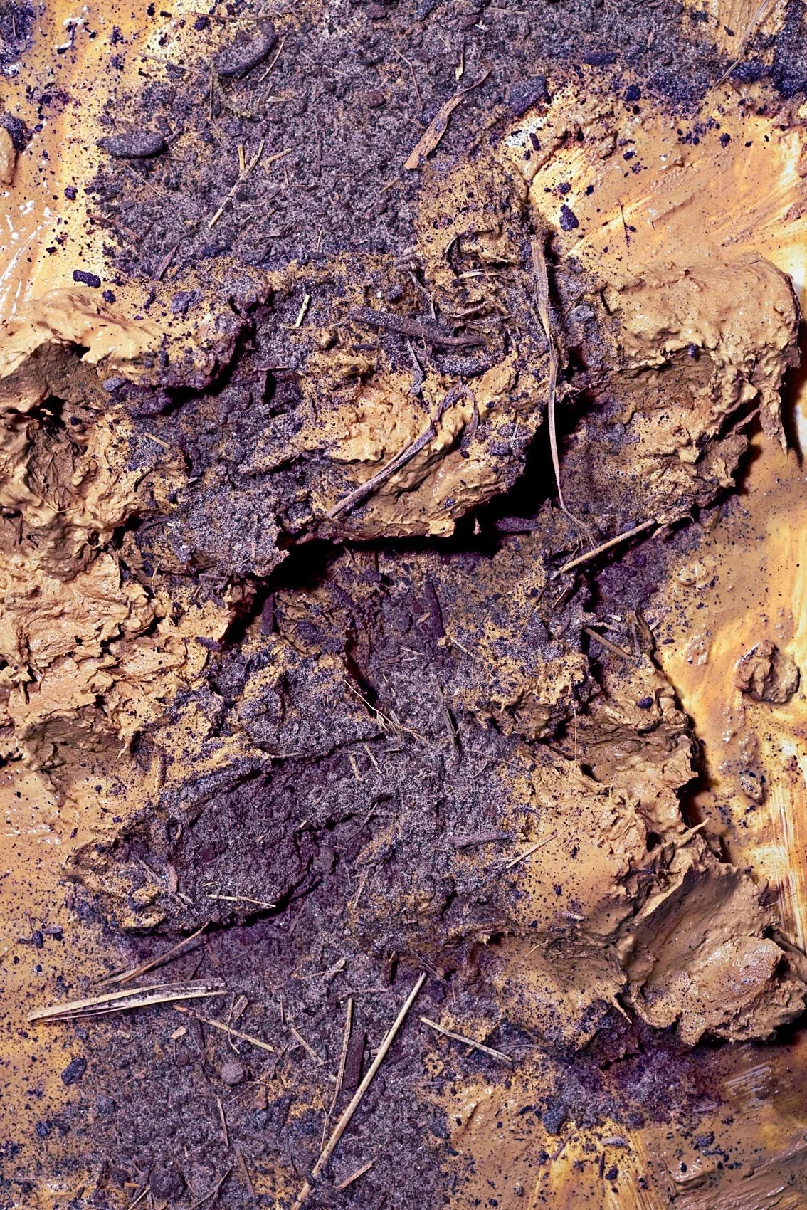 Matthias-Mollner_dust-and-dirt_-Foto-74_klein_Web.jpg