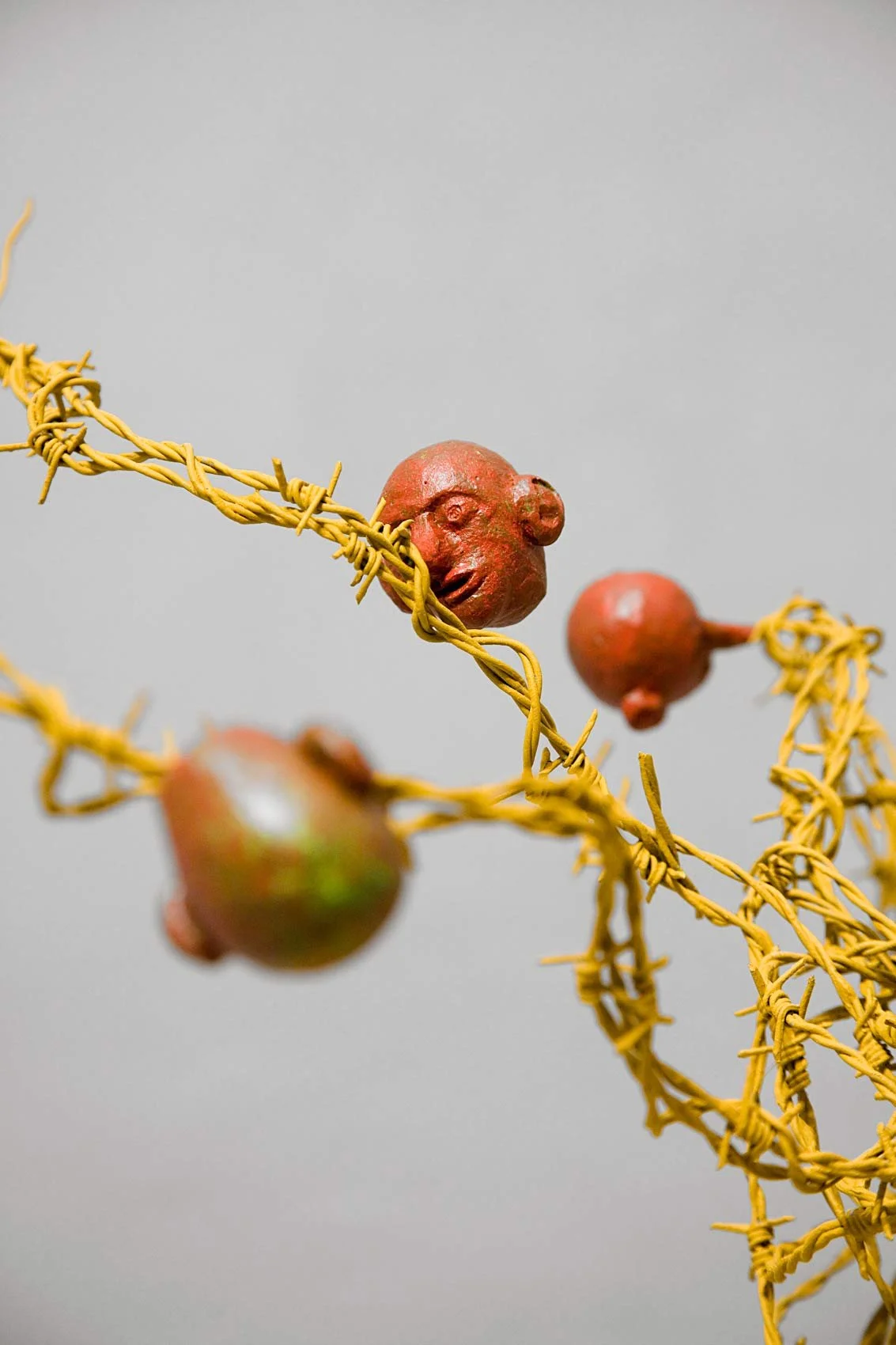 Matthias-Mollner,-Baum-2_Foto-2_klein_Web.jpg