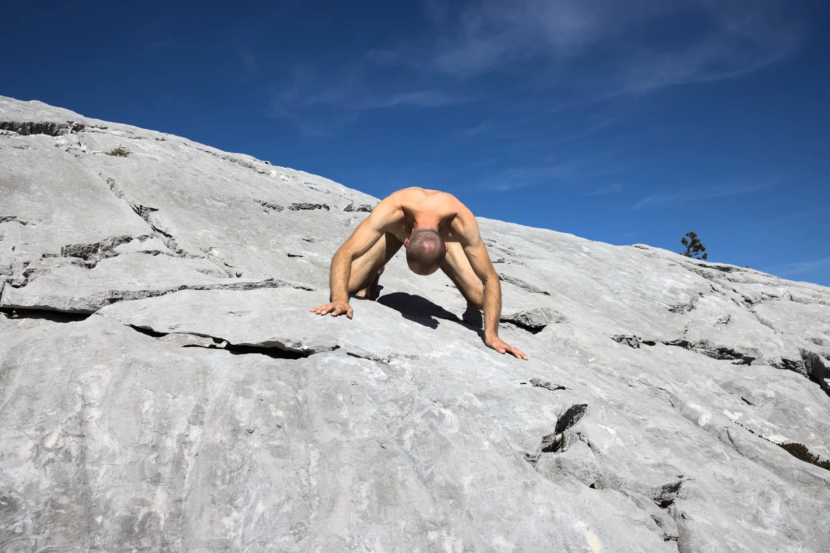 Matthias_Mollner_Spider_Foto4_klein_Web.jpg