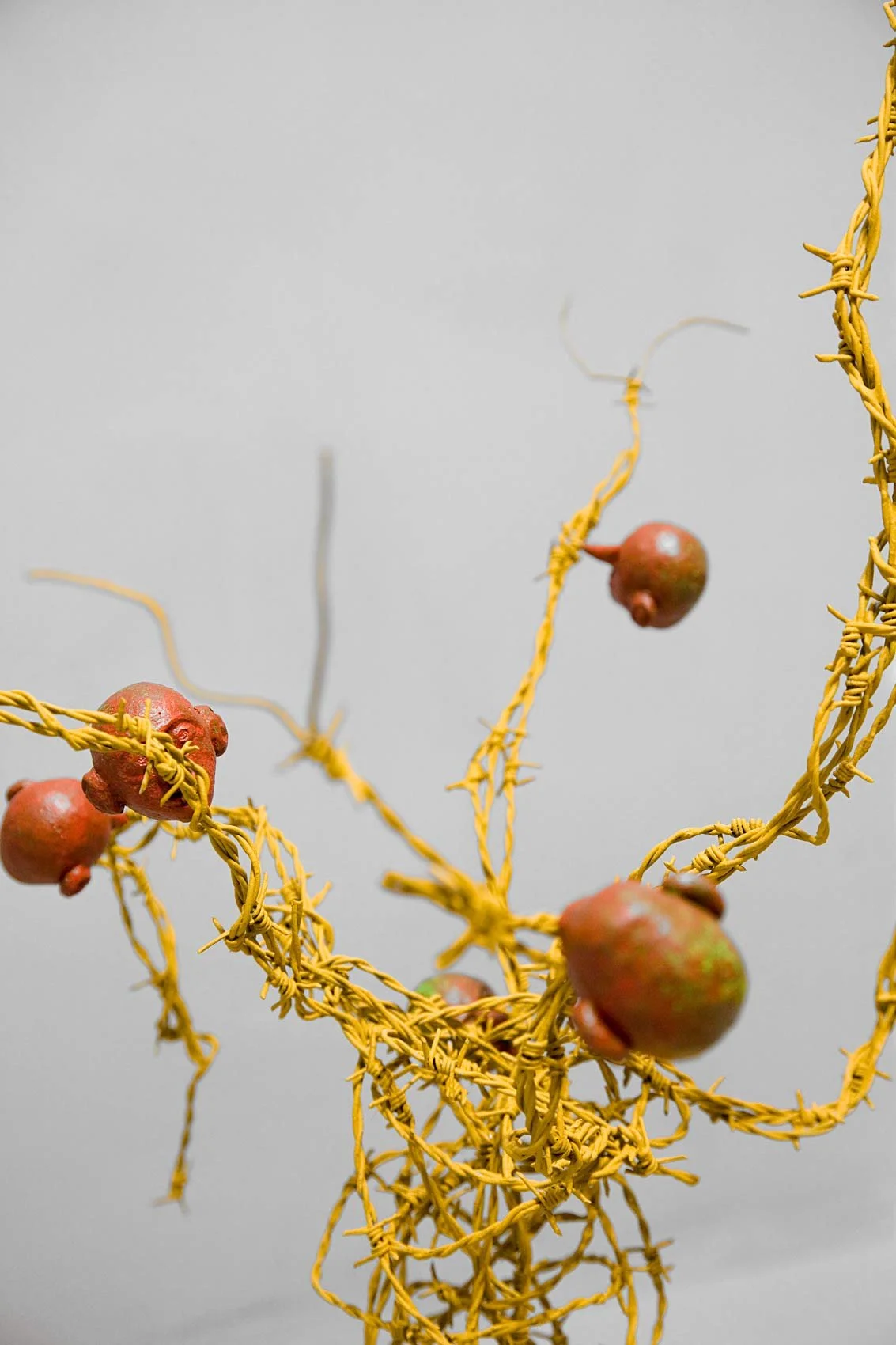 Matthias-Mollner,-Baum-2_Foto-4_klein_Web.jpg