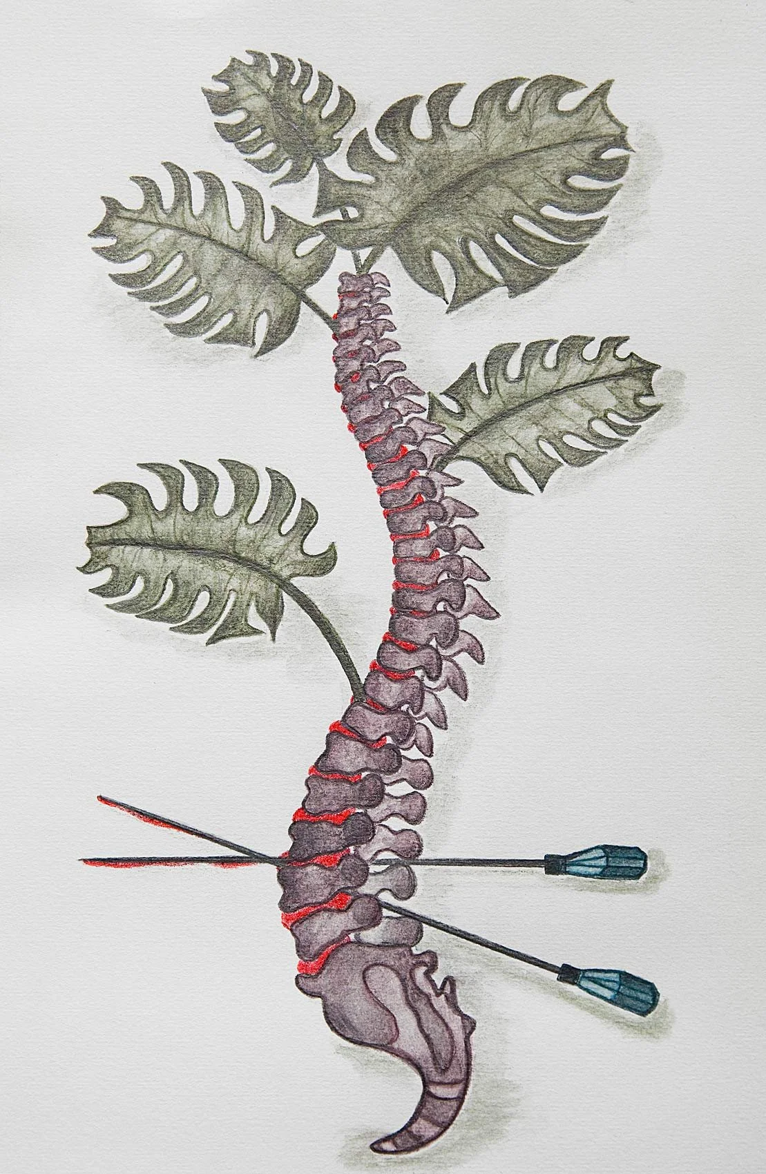 „Spine“. Farbstifte auf Papier. 2021
