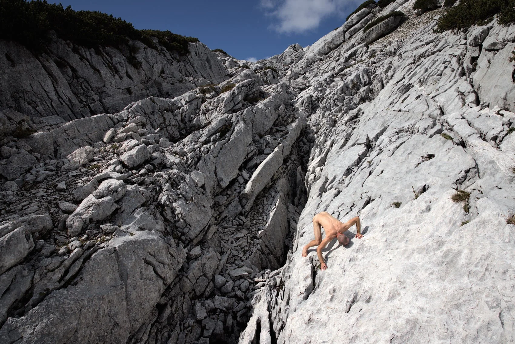 Matthias_Mollner_Spider_Foto1_klein_Web.jpg