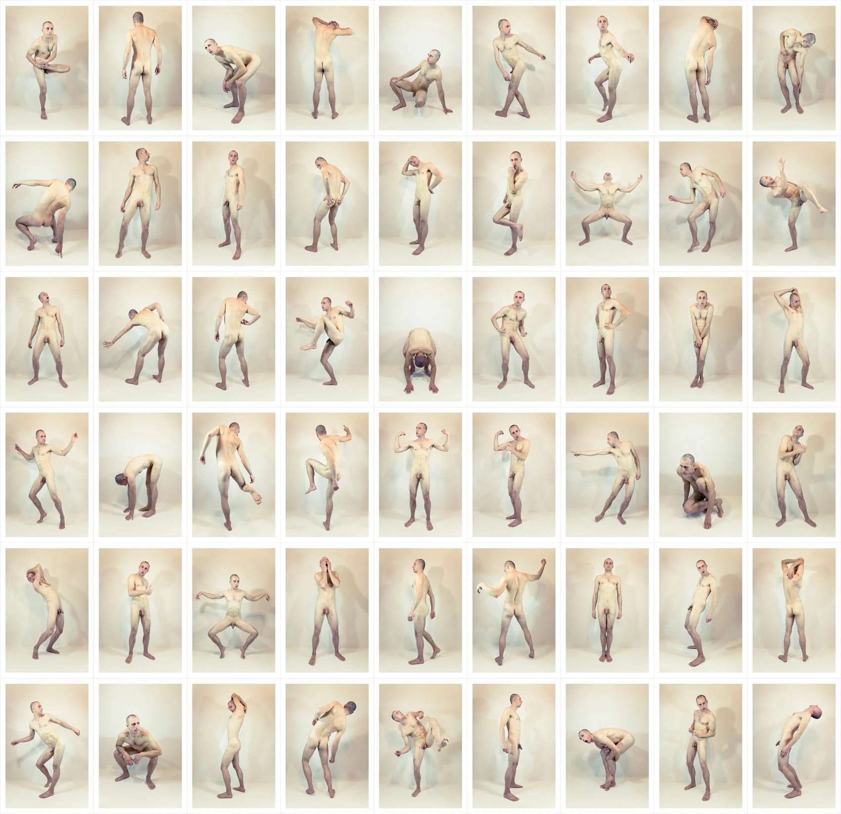 Homo Sapiens. C-Prints auf Karton auf Pressspanplatten. Ca. 185 × 190 cm. 2016
