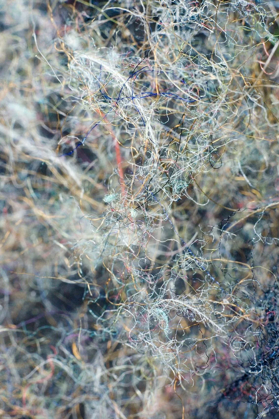 Staub. C-Print. 90 × 60 cm. 2015