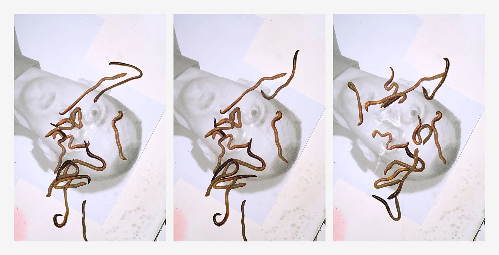 „Migration (It´s a long way to earth)“. 3 C-Prints. 90 x 60 cm je Foto. 2016