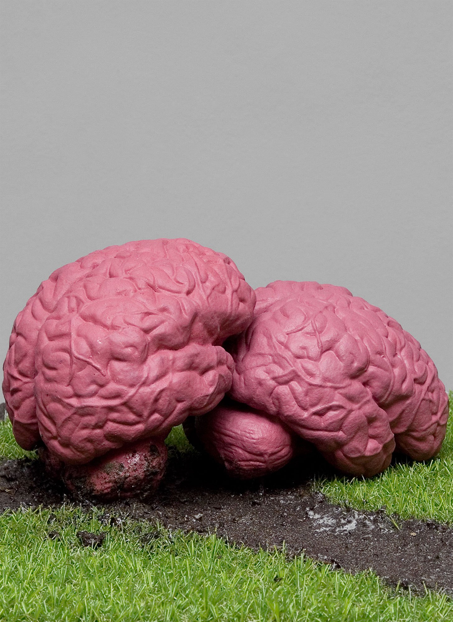 Matthias_Mollner_A-little-brainfuck_Foto-1_Ausschnitt_Web.jpg