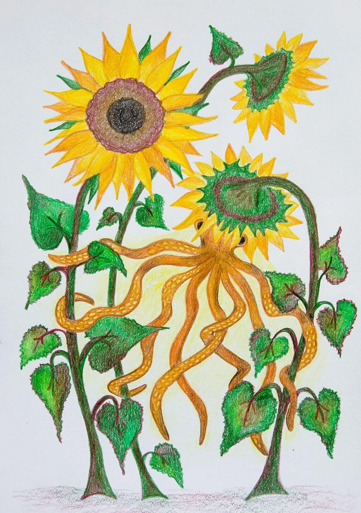 „The octopus takes a sunbath“. Farbstifte auf Papier. 29,7 x 21 cm. 2021