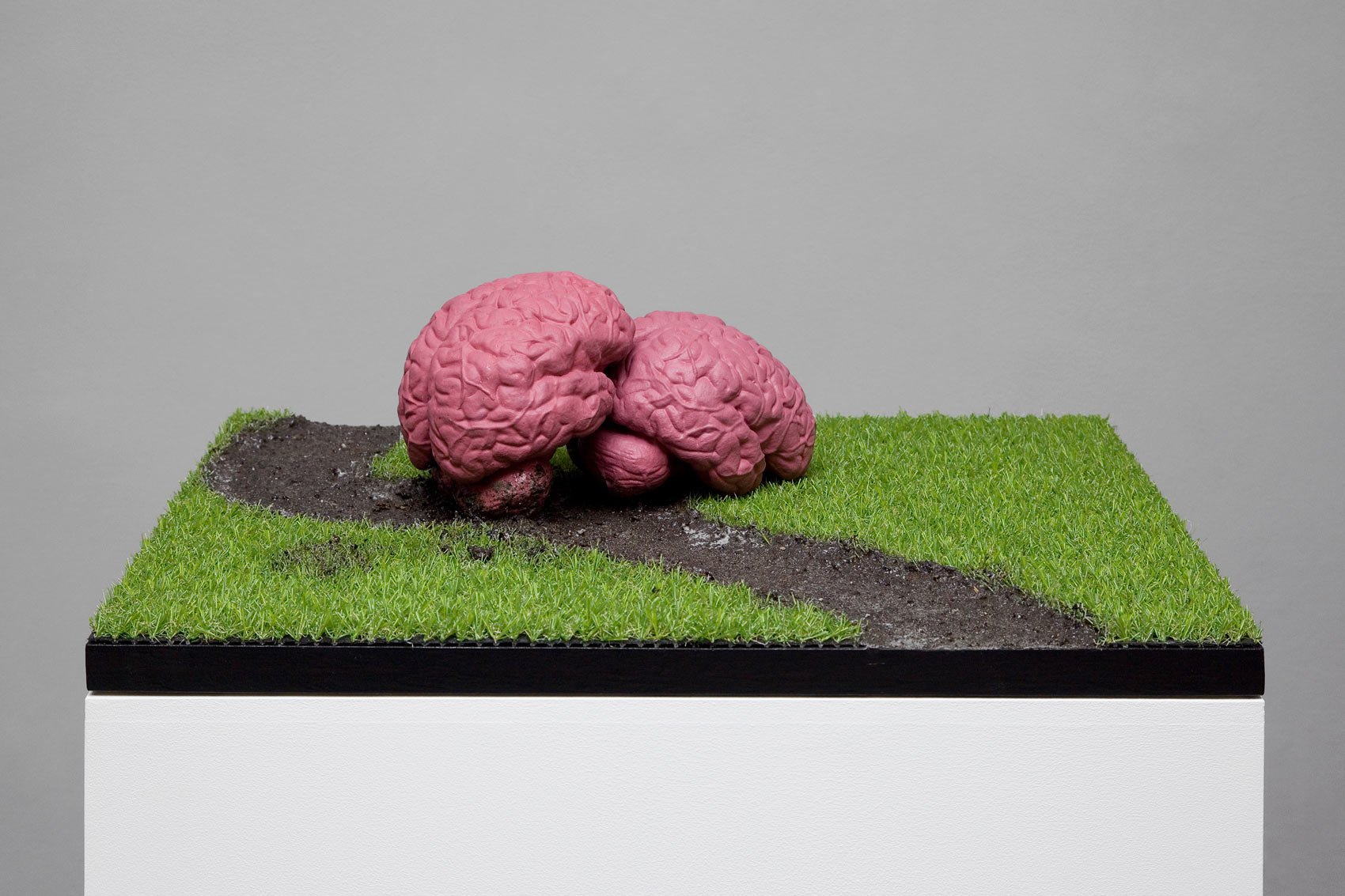 Matthias_Mollner_Snails_in_love_Foto1_klein_Web.jpg
