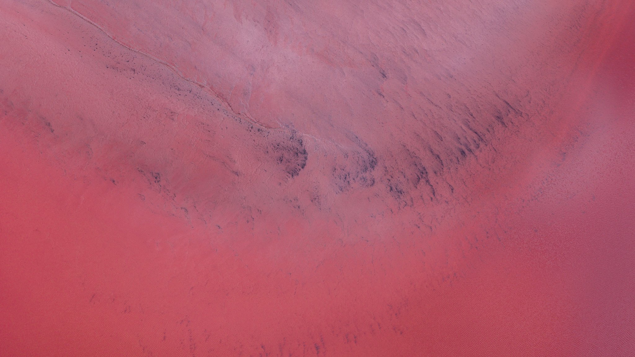 DJI_20260407082817_0786_D.jpg