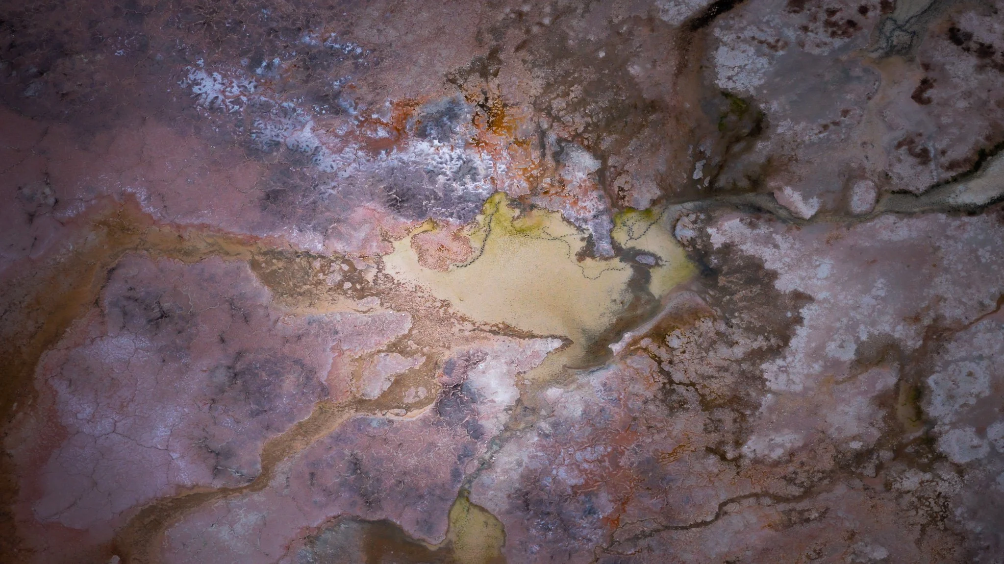 DJI_20260407083831_0847_D.jpg