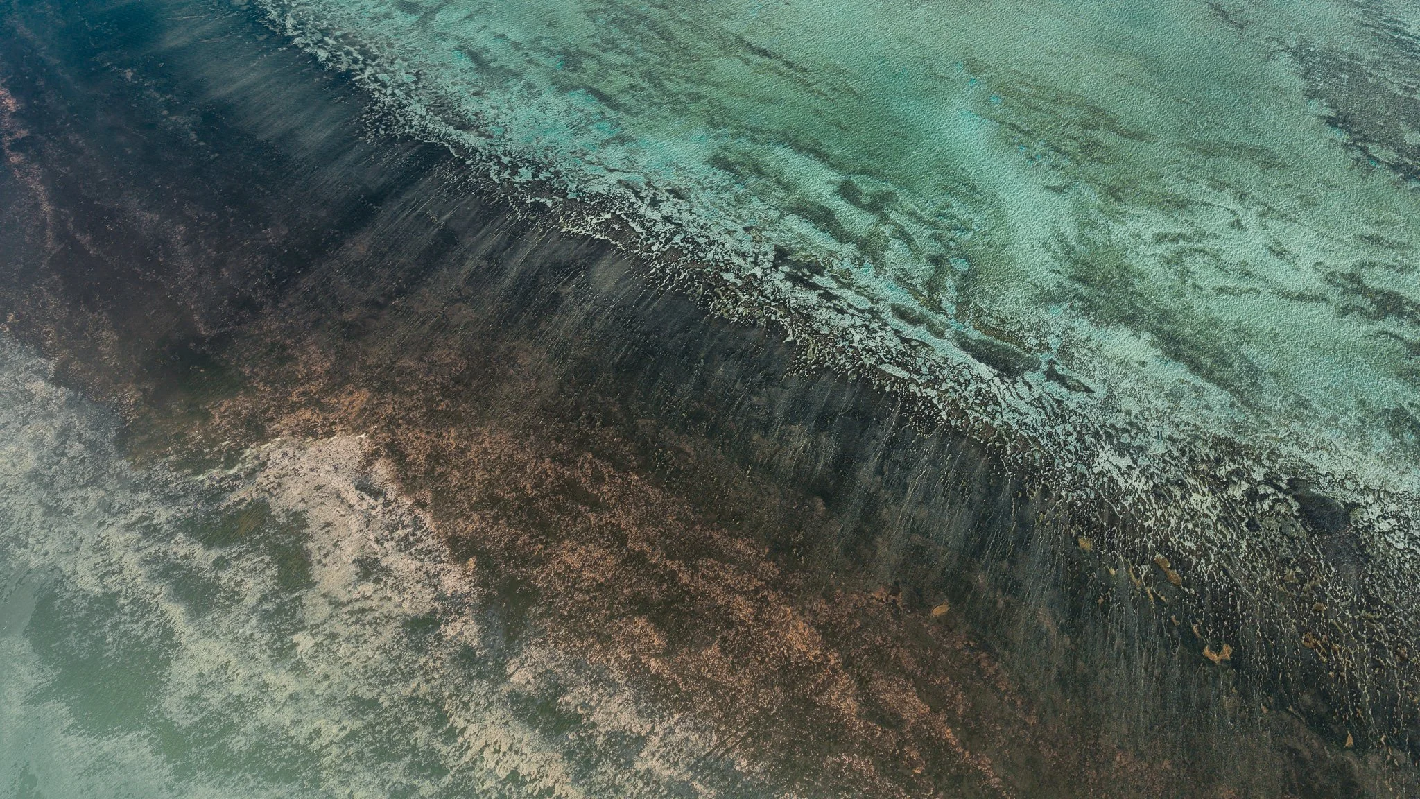 DJI_20260412092924_0838_D.jpg