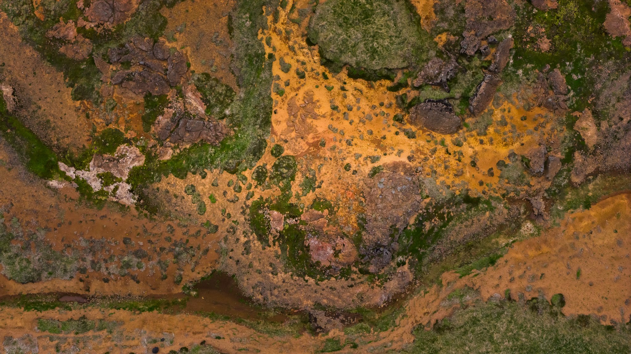 DJI_20260607130746_0674_D.jpg
