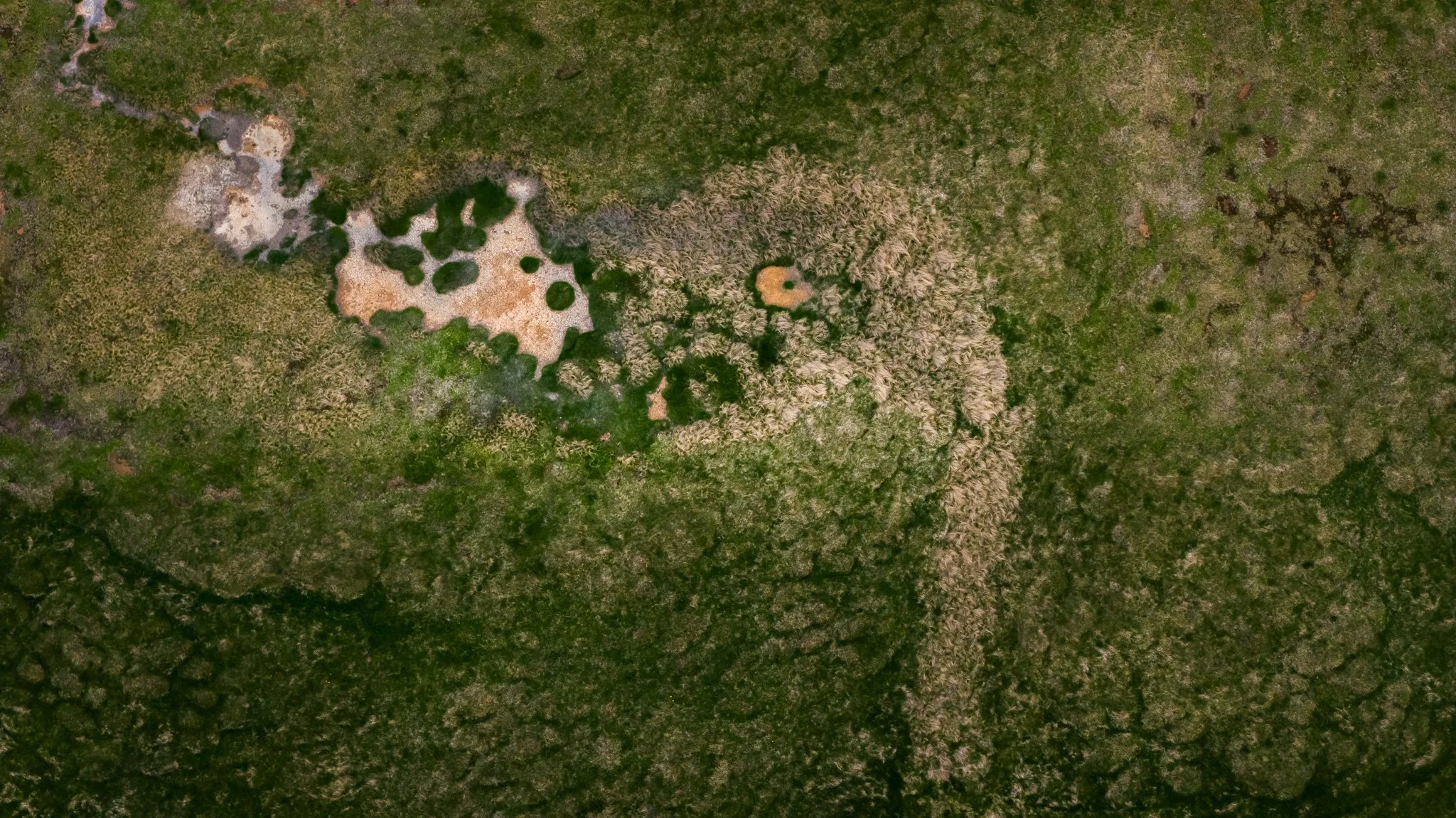 DJI_20260607130514_0658_D.jpg