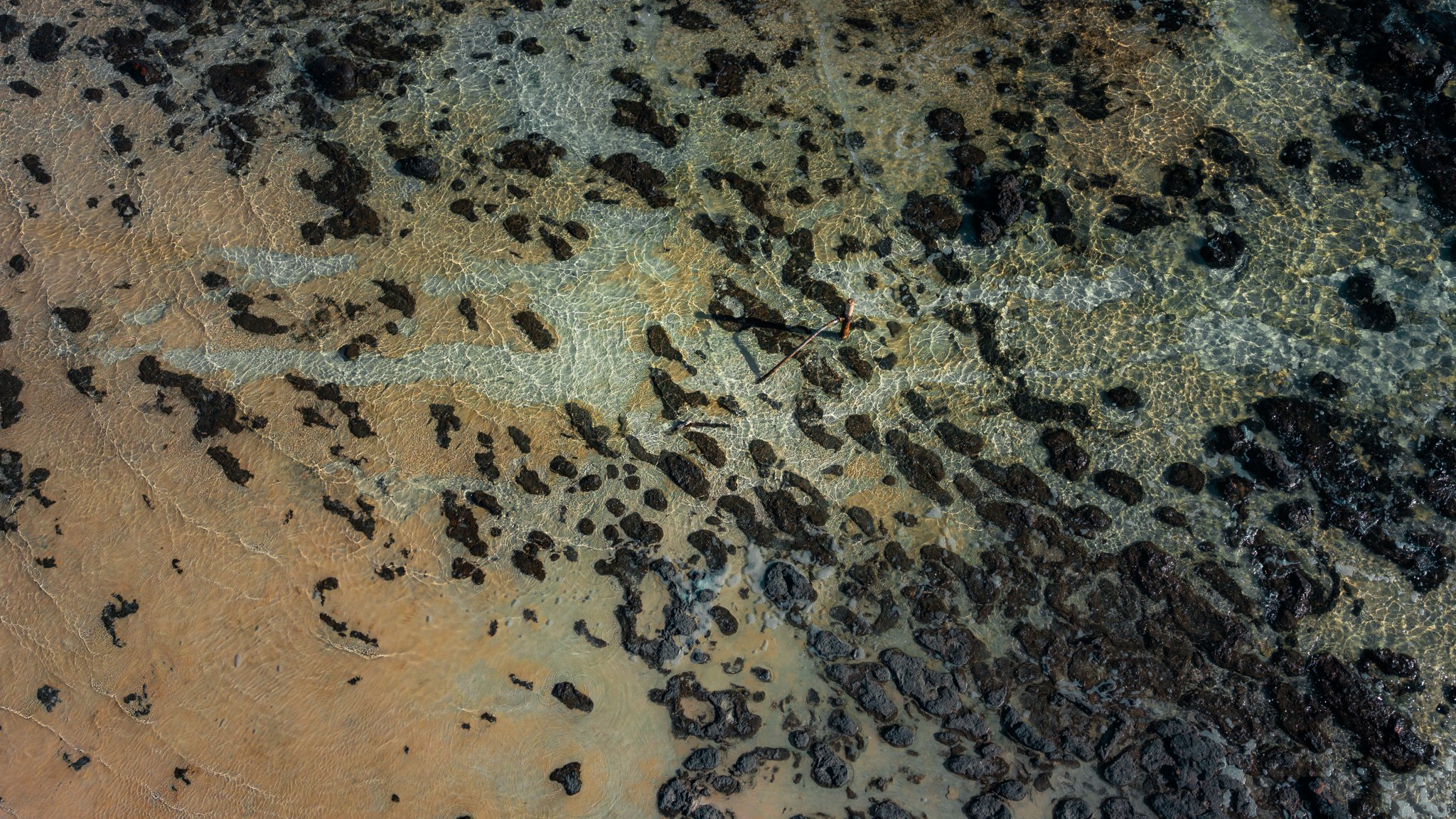 DJI_20260412100604_0878_D.jpg