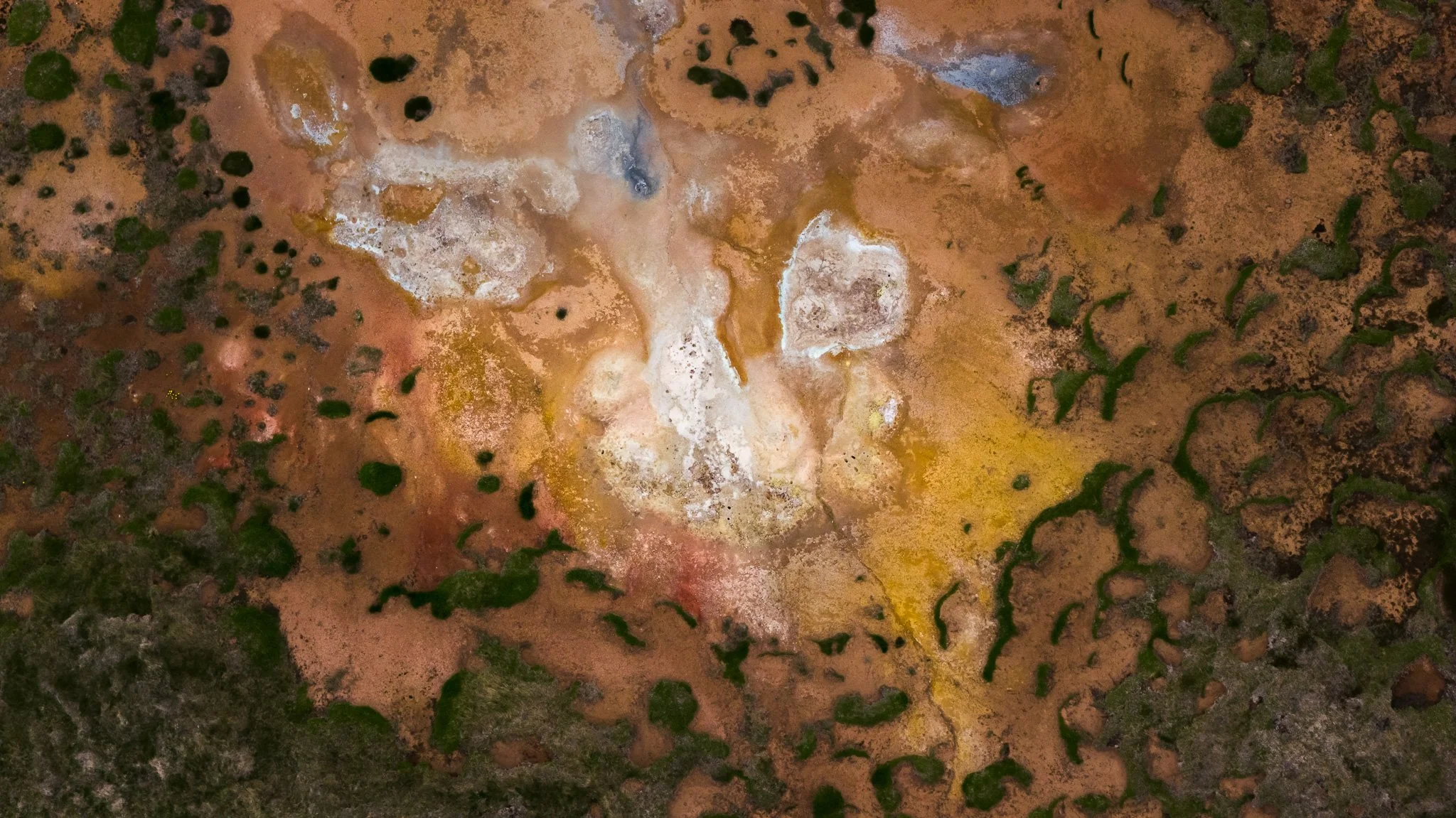 DJI_20260607130324_0650_D.jpg