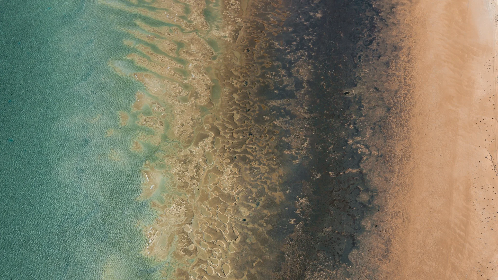 DJI_20260413021213_0930_D.jpg