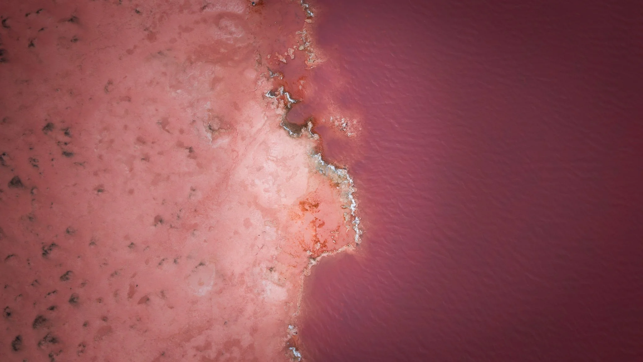 DJI_20260407055118_0566_D.jpg