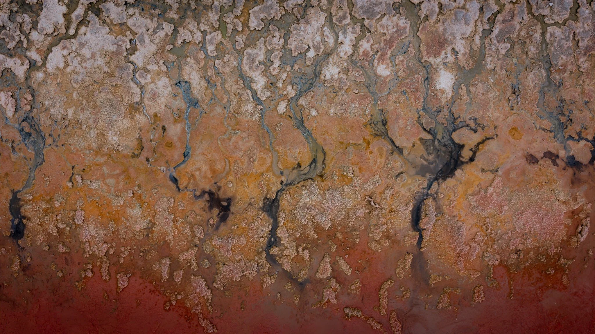 DJI_20260407055552_0591_D.jpg