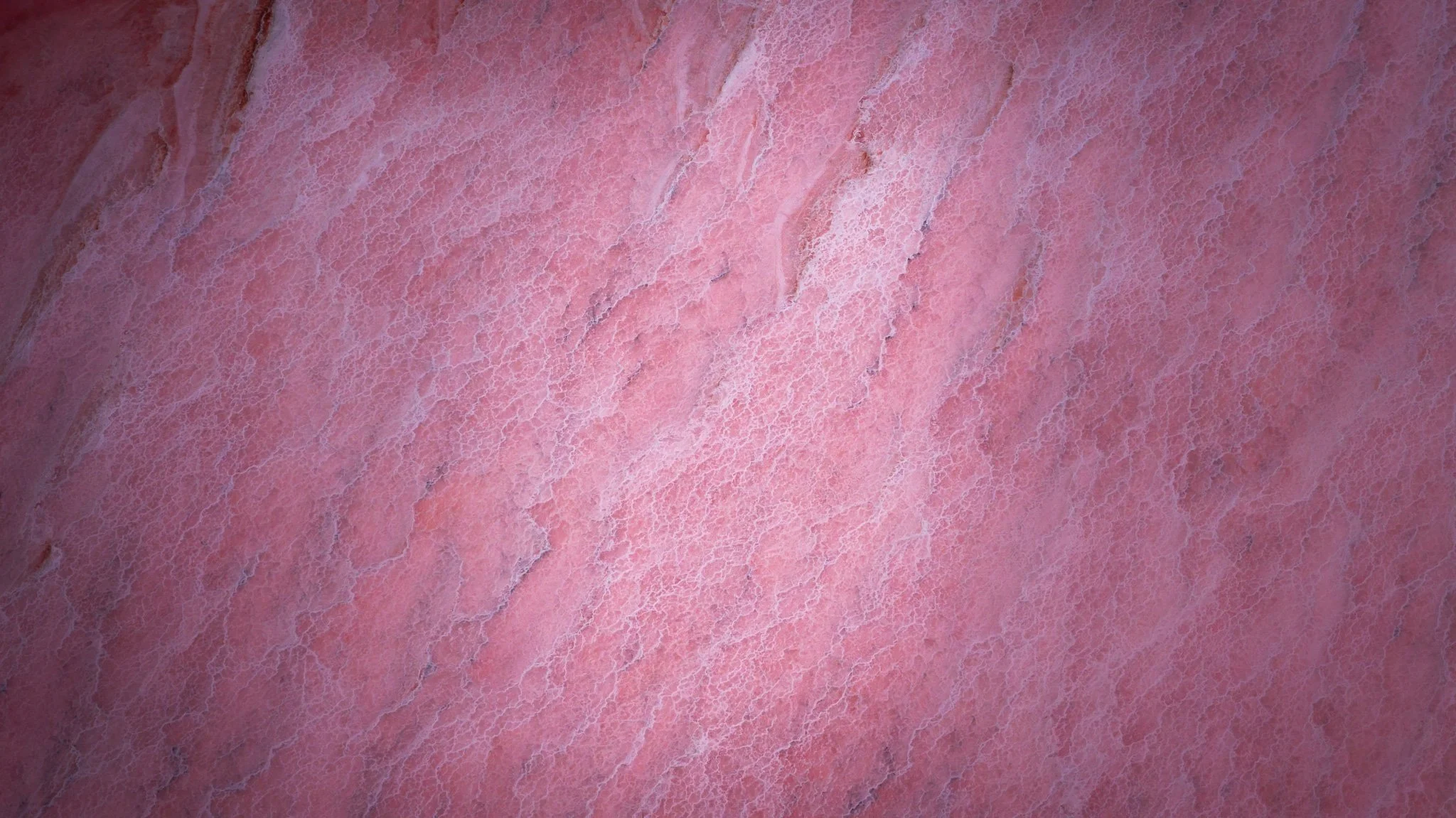 DJI_20260407083323_0815_D.jpg