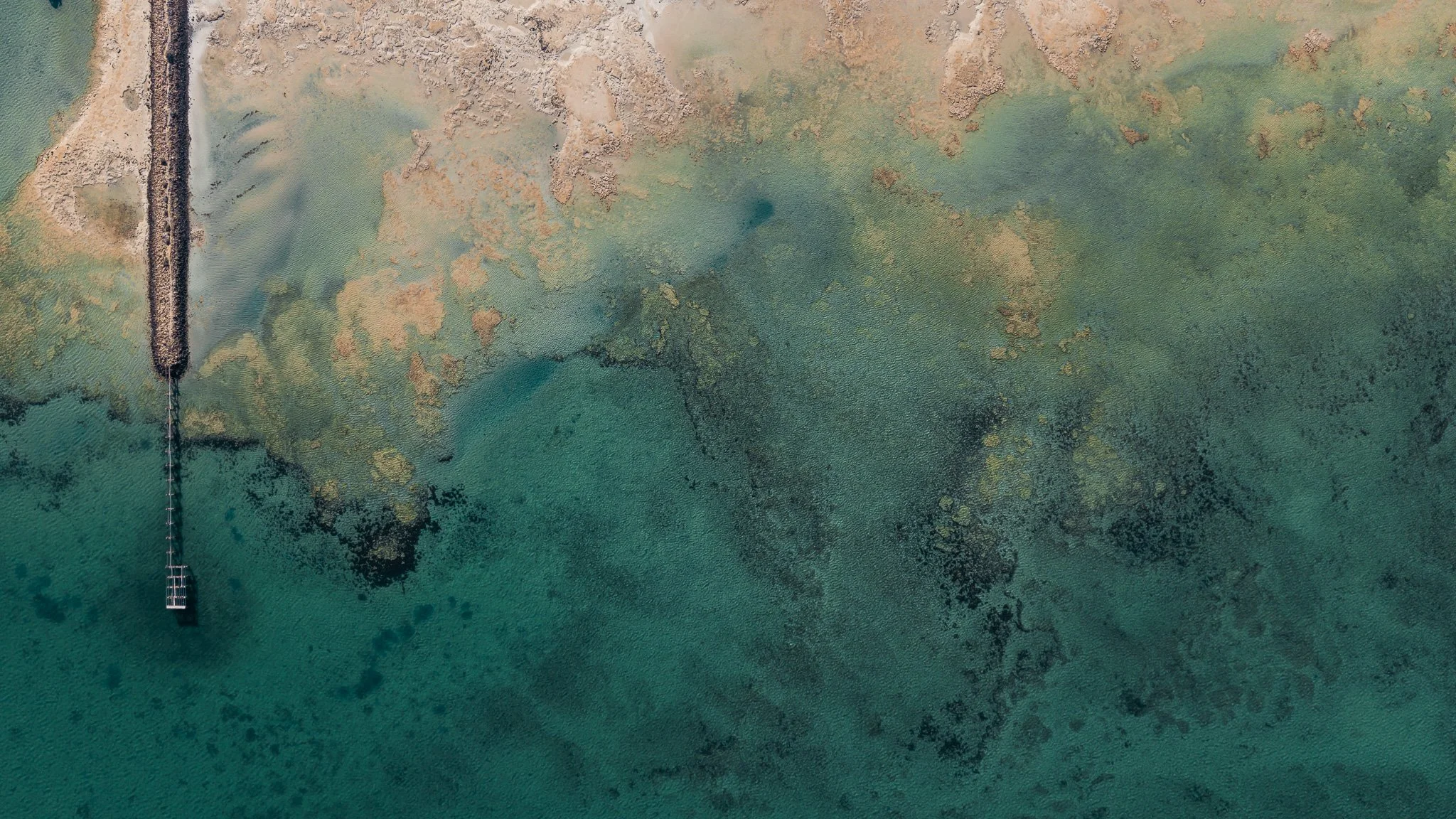 DJI_20260413022556_0983_D.jpg