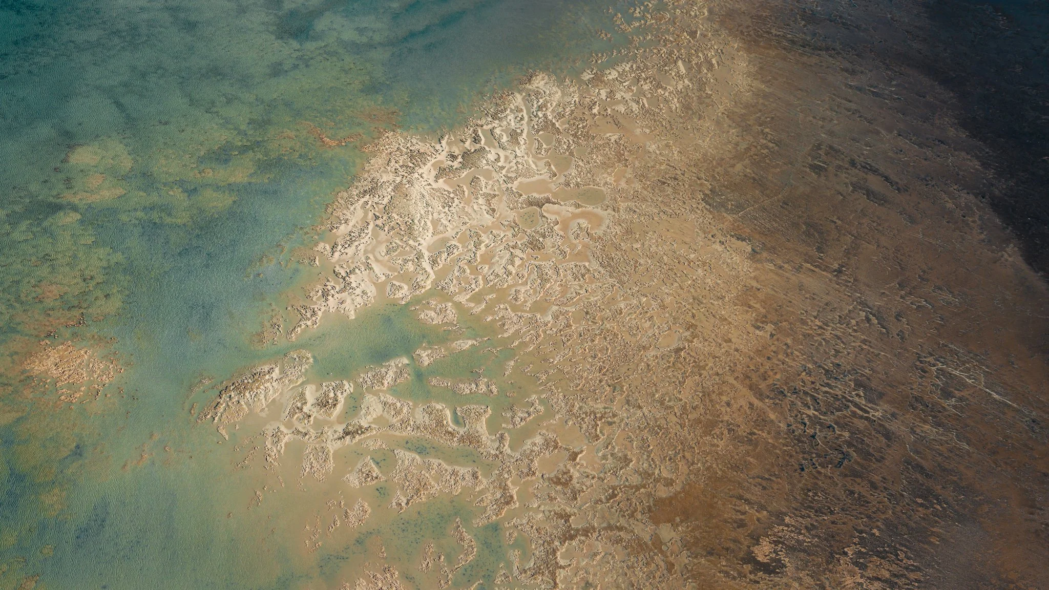 DJI_20260413020630_0911_D.jpg