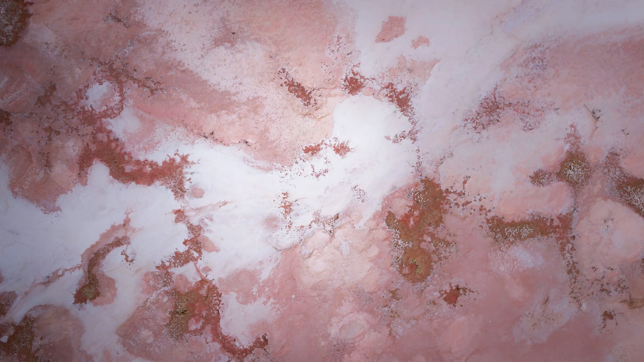 DJI_20260407080113_0728_D.jpg