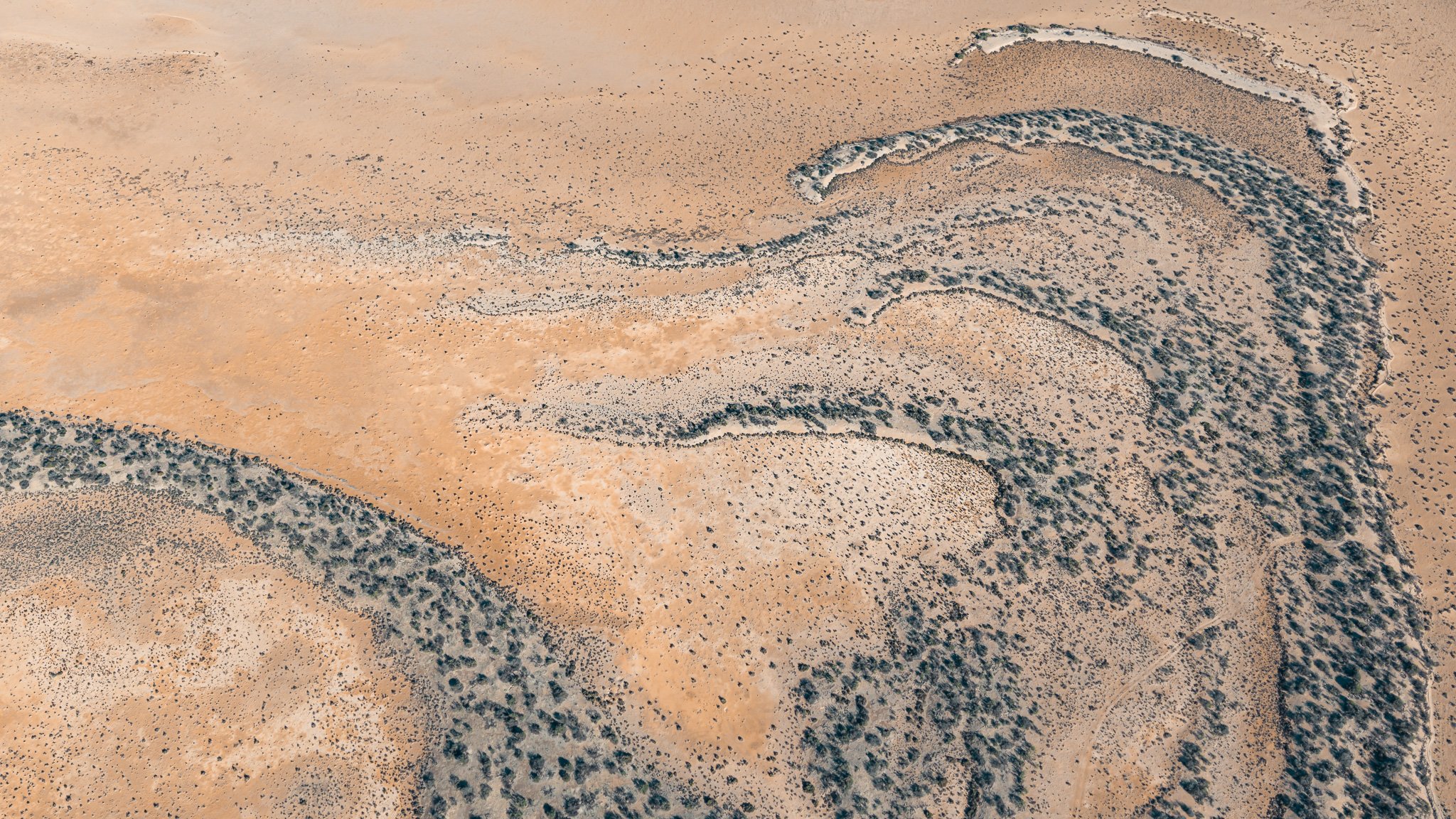 DJI_20260413021319_0937_D.jpg