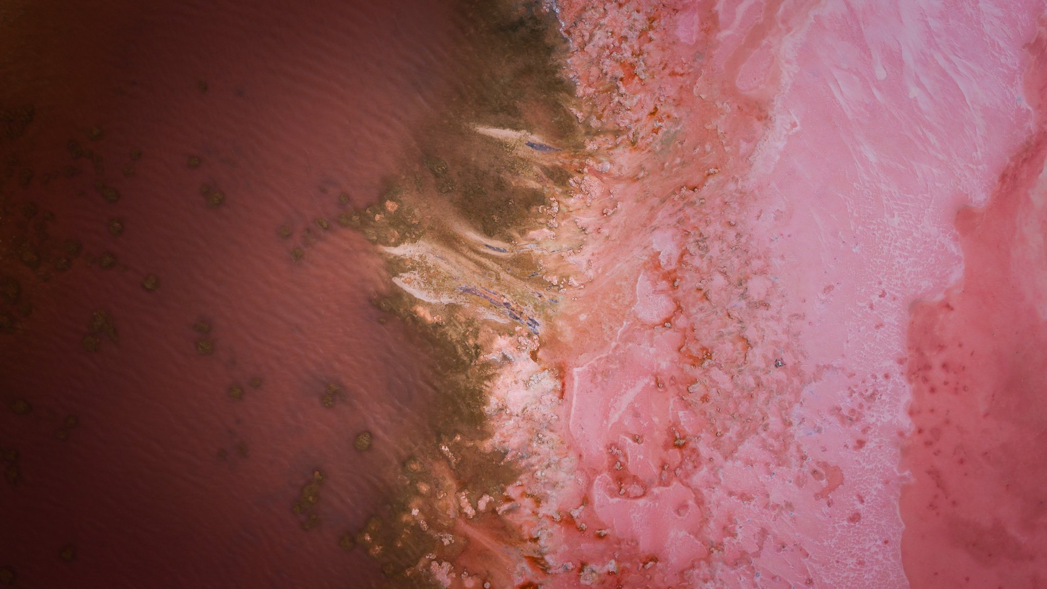 DJI_20260407054928_0561_D.jpg