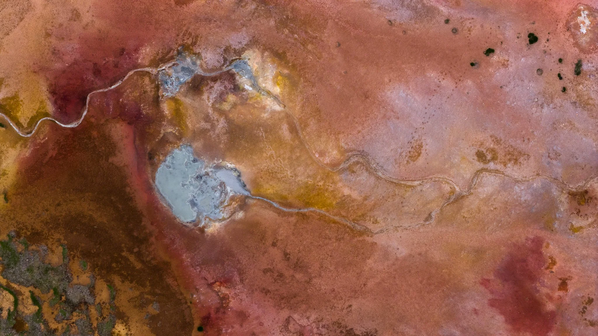 DJI_20260607122230_0459_D.jpg