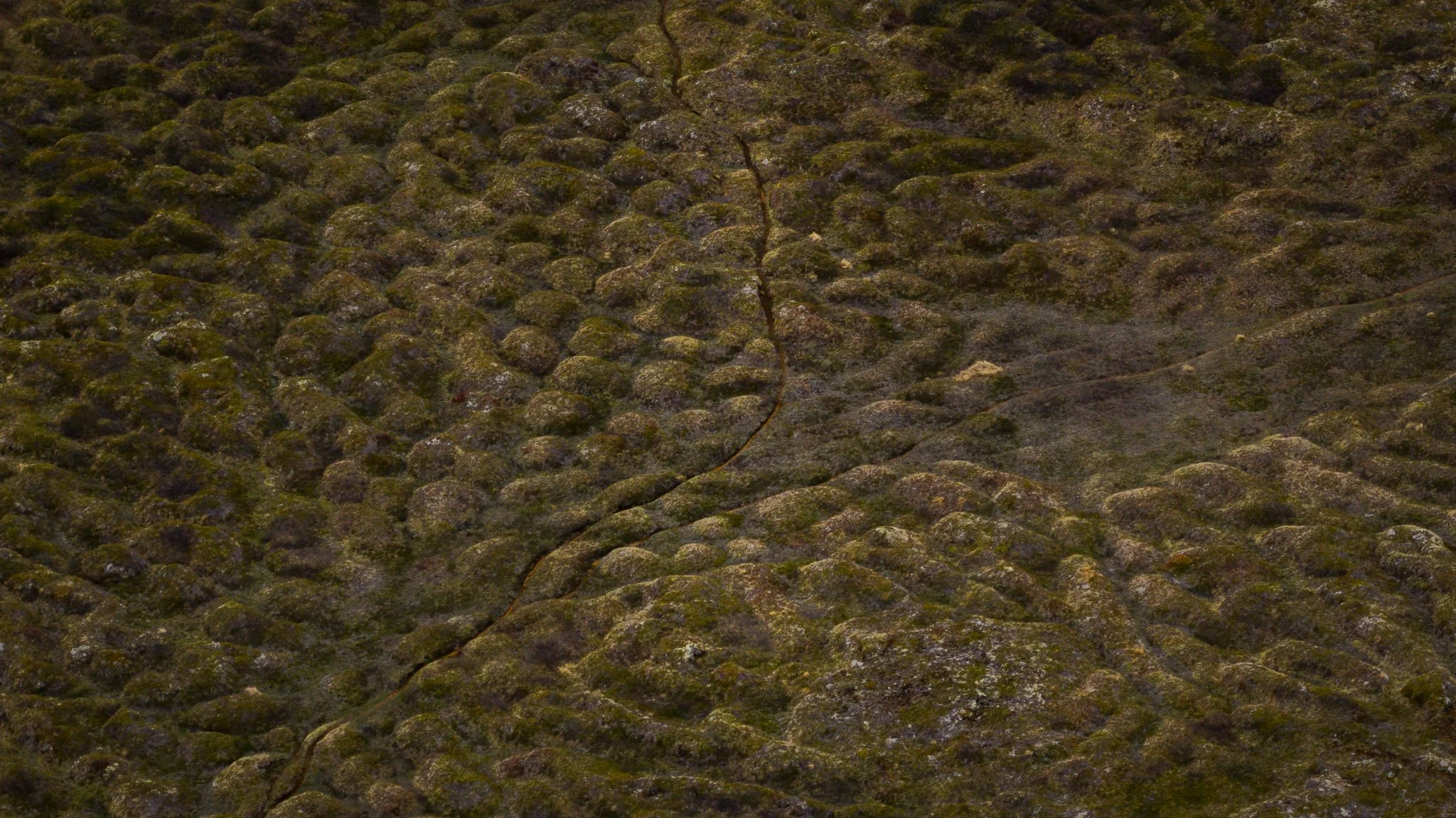 DJI_20260607131418_0741_D.jpg