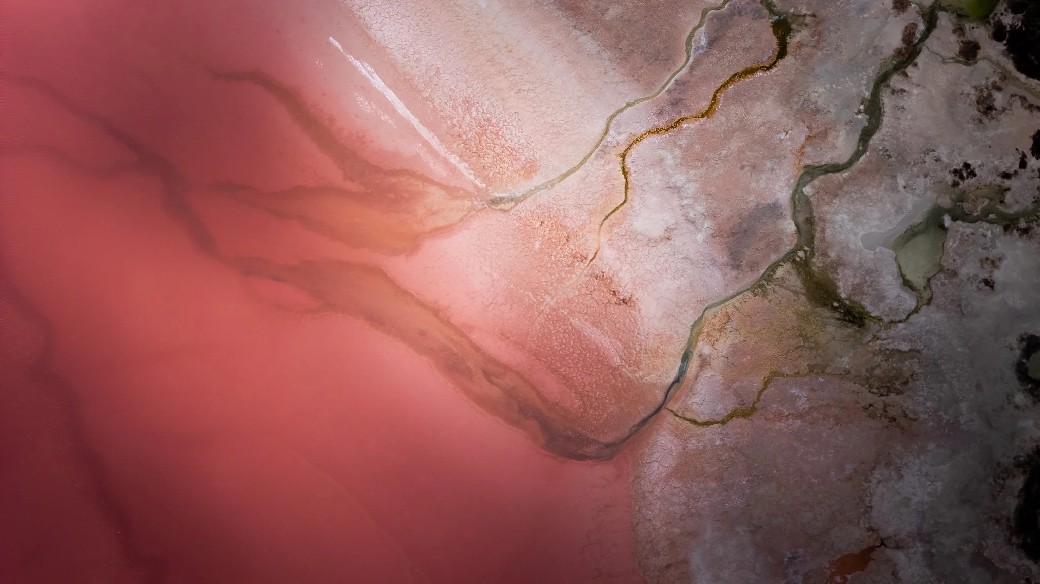 DJI_20260407083620_0831_D.jpg