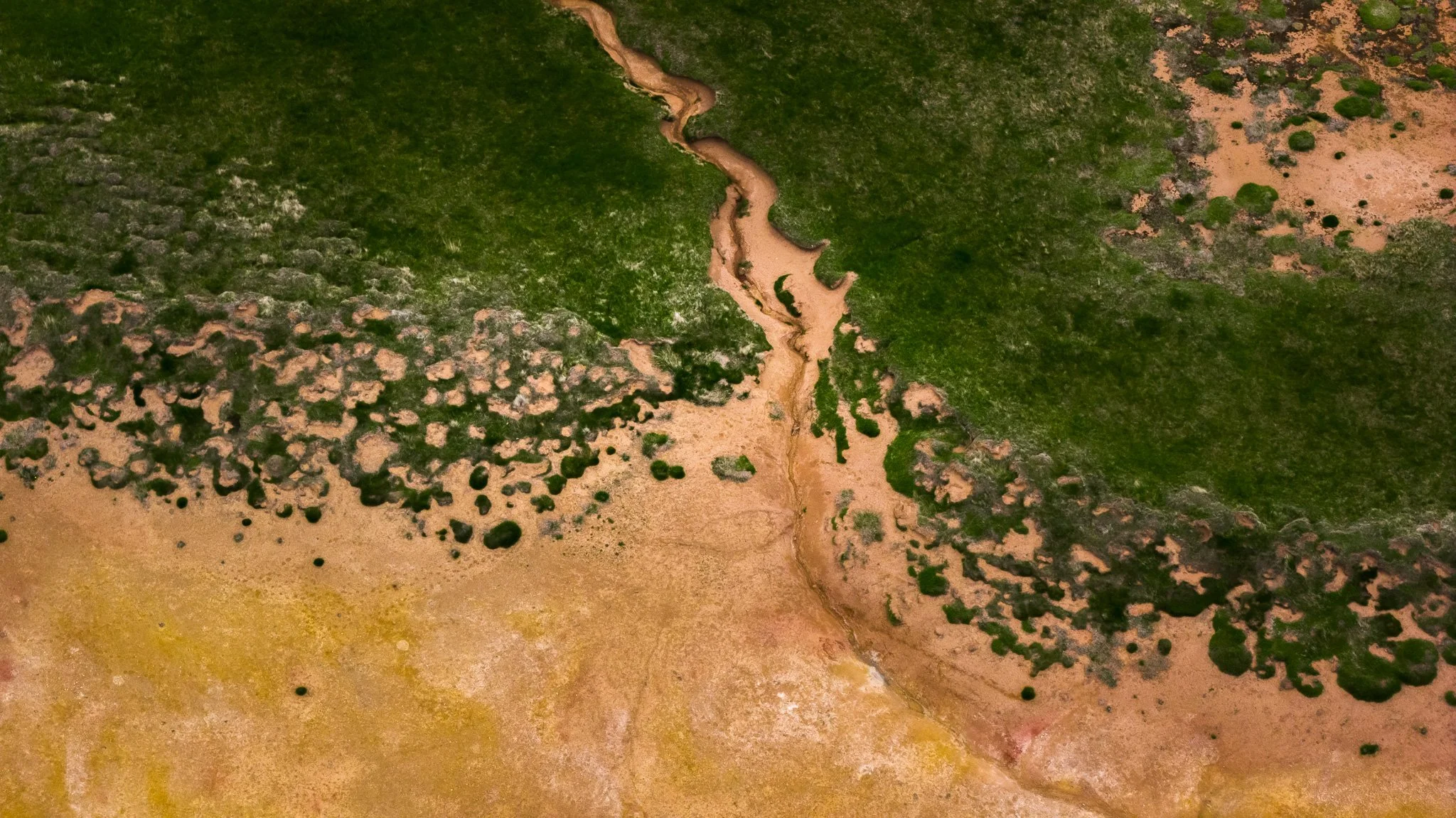 DJI_20260607130303_0648_D.jpg