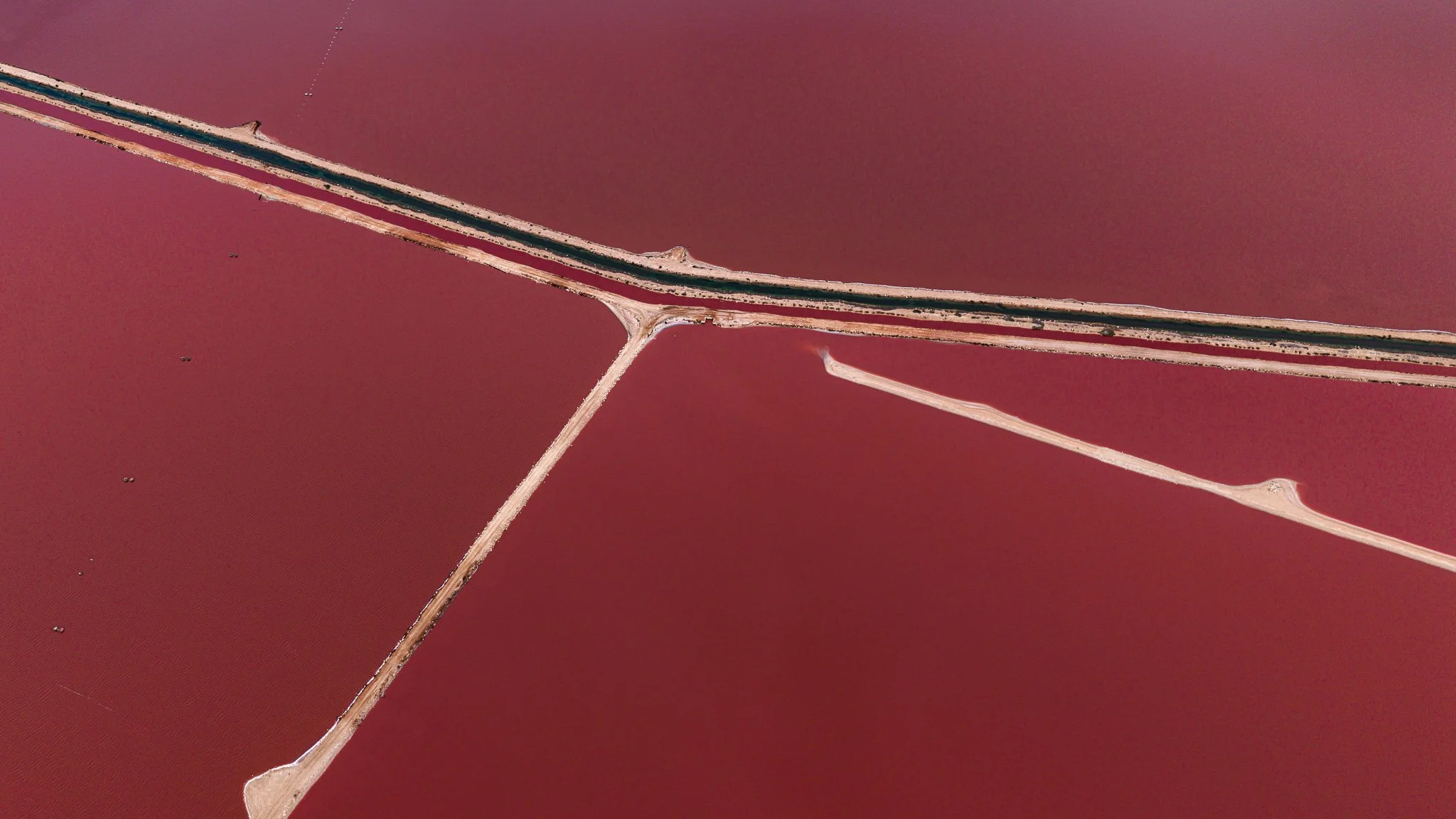 DJI_20260407053843_0529_D.jpg
