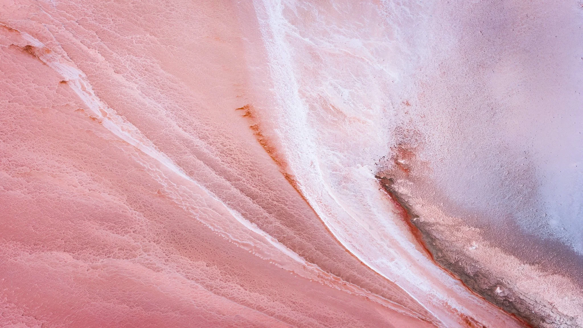 DJI_20260407073237_0640_D.jpg
