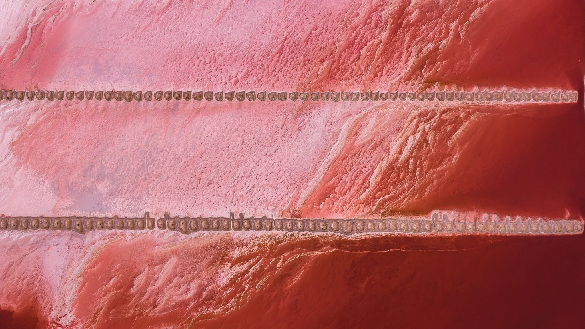 DJI_20260407053640_0517_D.jpg