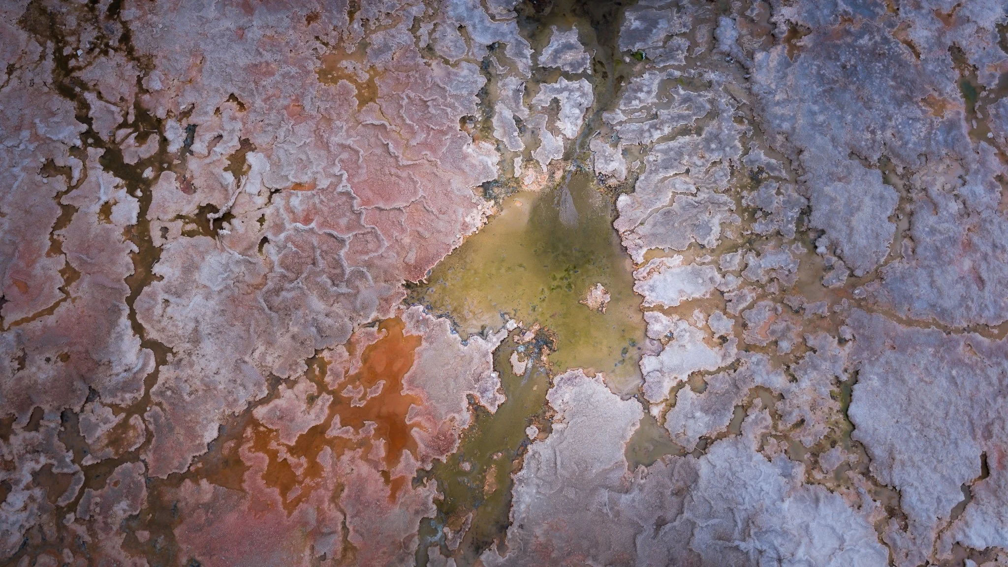 DJI_20260407060143_0618_D.jpg