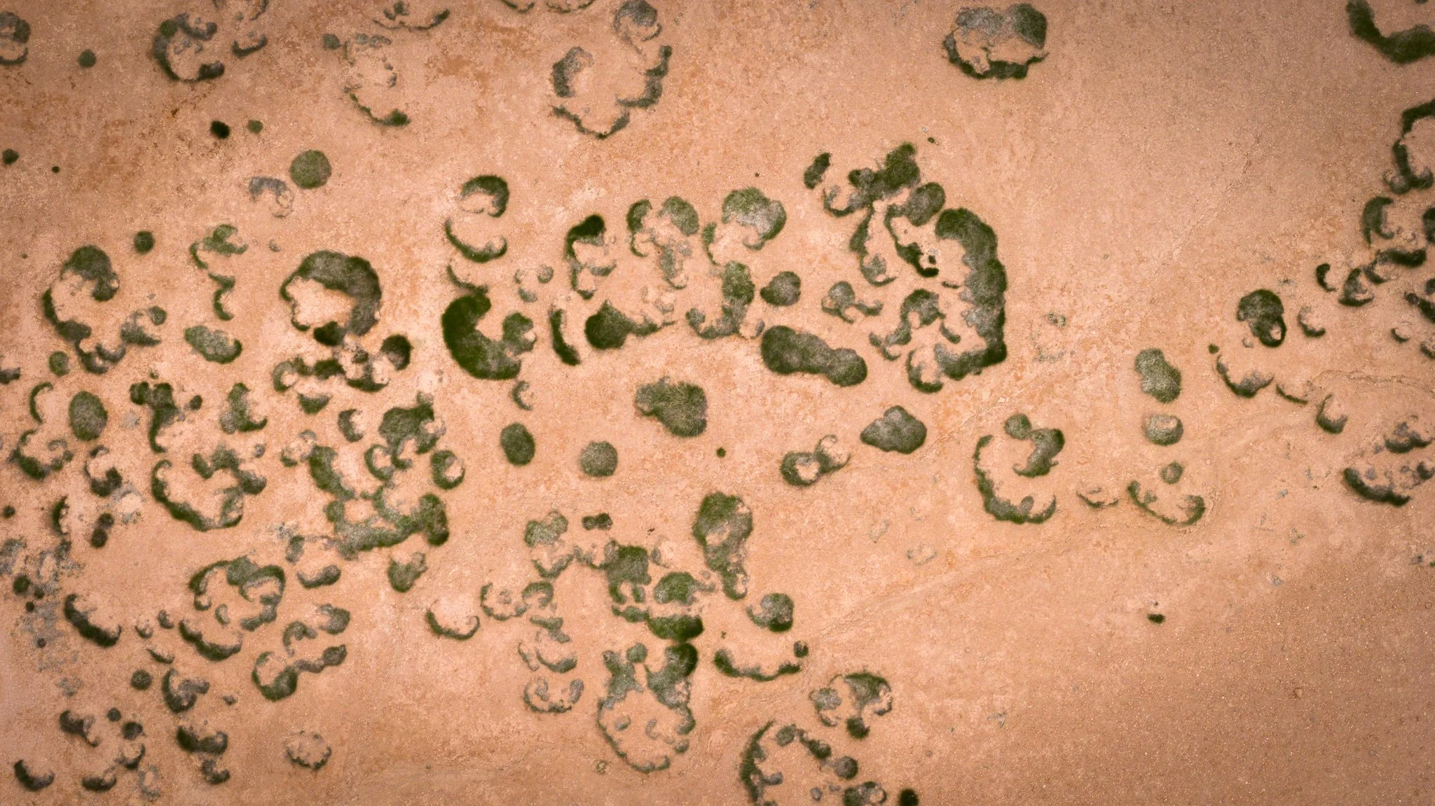 DJI_20260607131118_0708_D.jpg
