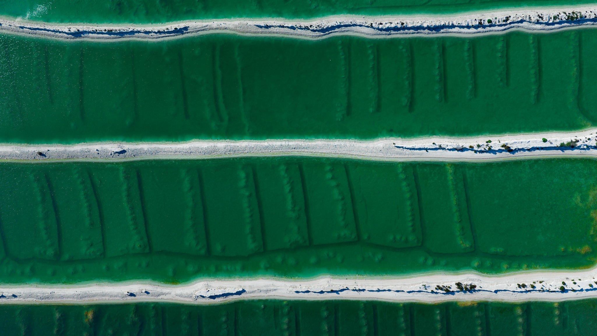 DJI_20260416093707_0676_D.jpg