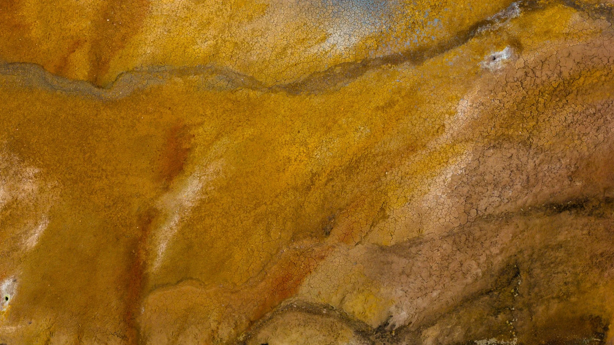 DJI_20260607125813_0621_D.jpg