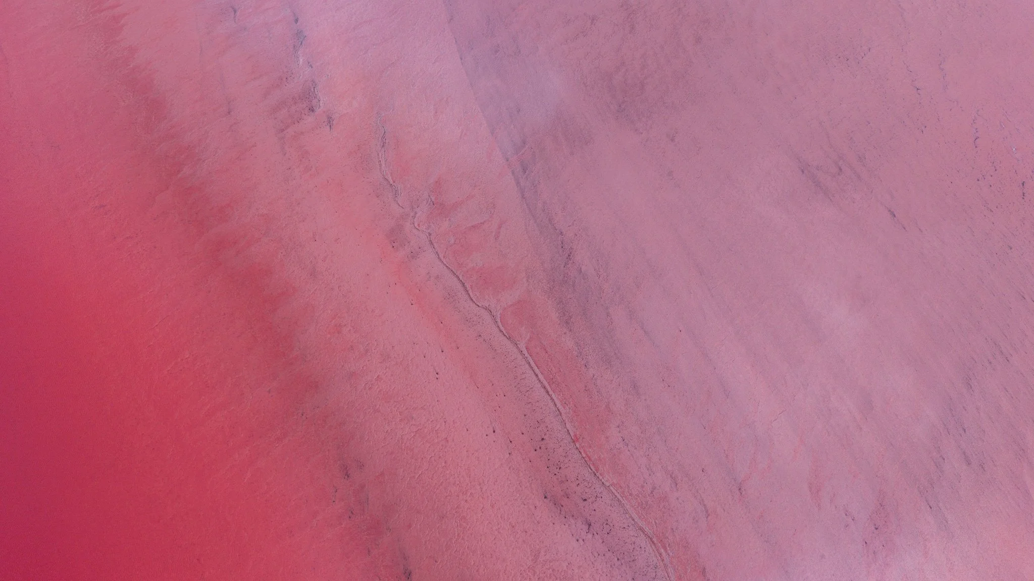 DJI_20260407082830_0787_D.jpg