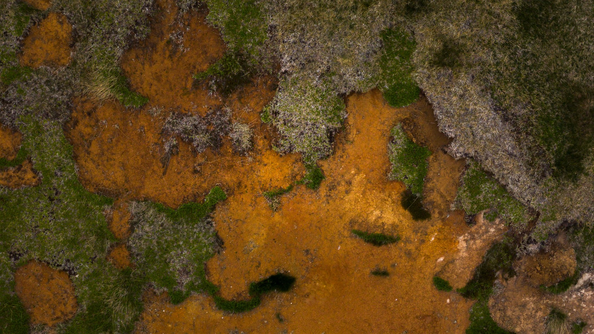 DJI_20260607125938_0630_D.jpg