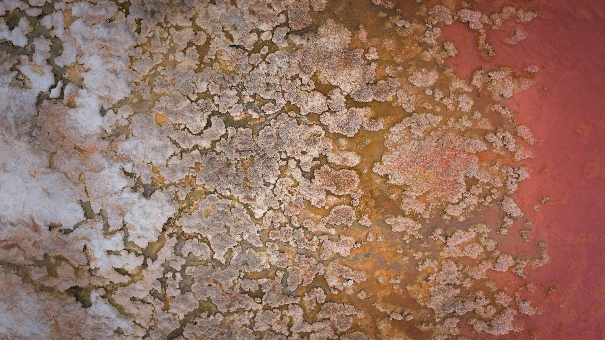 DJI_20260407055258_0573_D.jpg