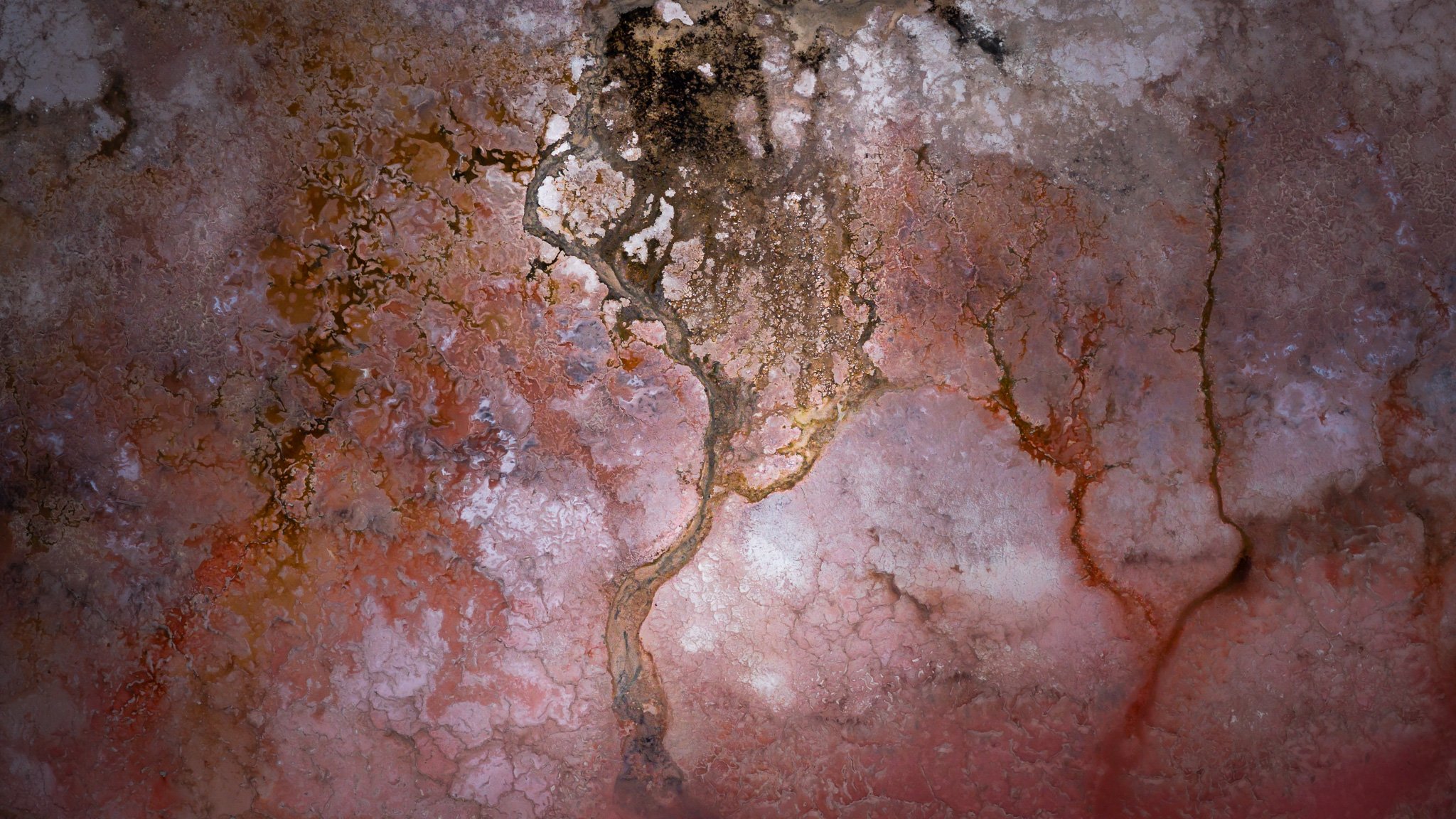DJI_20260407083735_0838_D.jpg