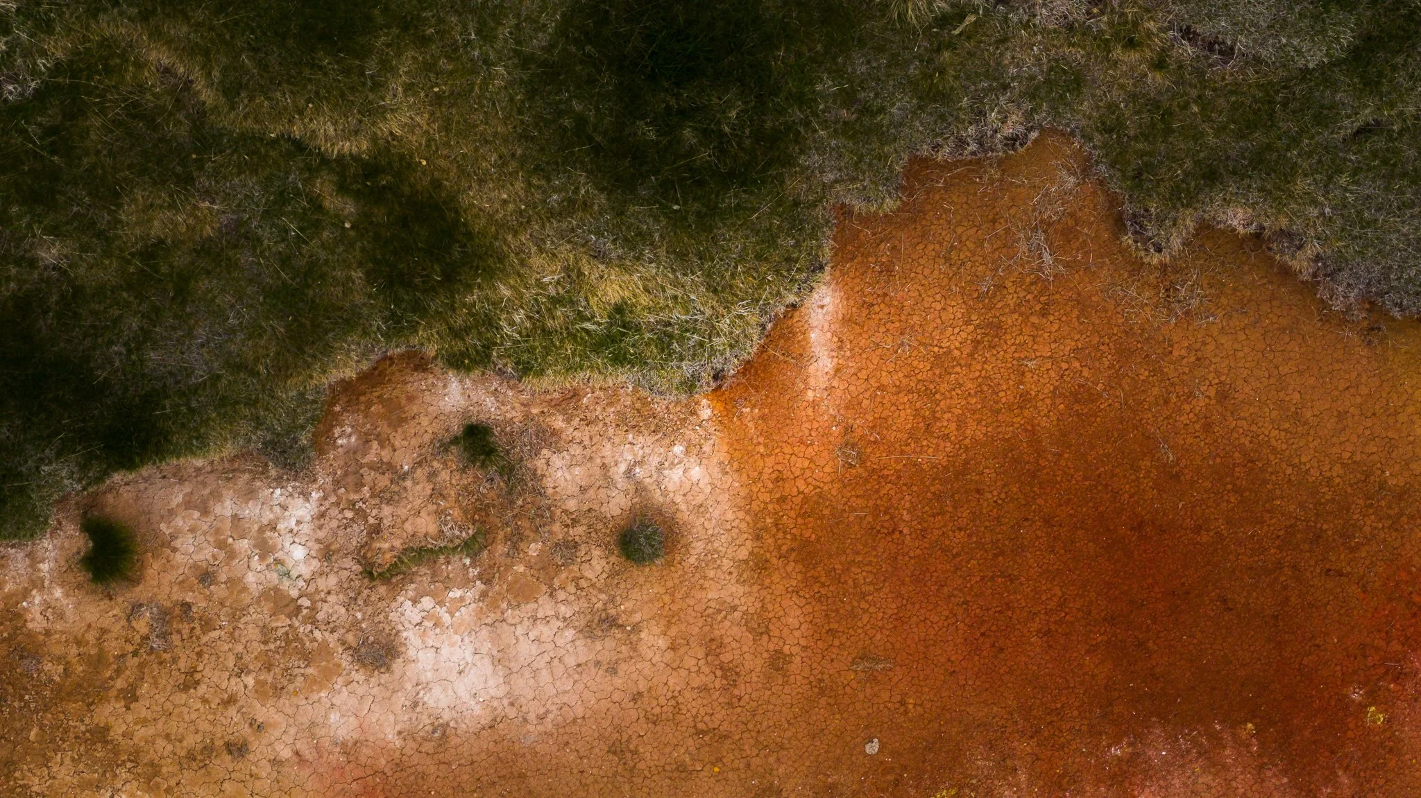 DJI_20260607125501_0600_D.jpg