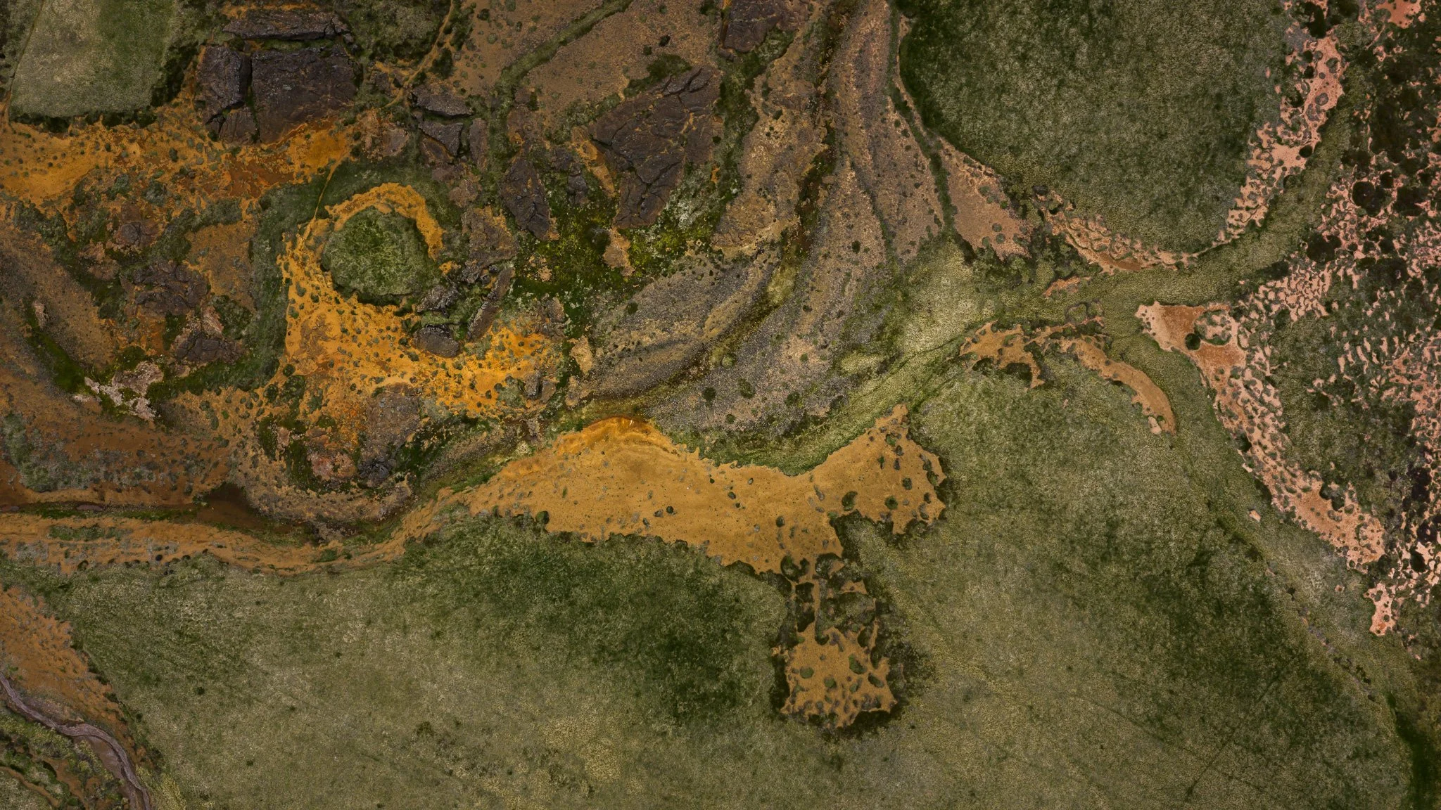 DJI_20260607130730_0672_D.jpg