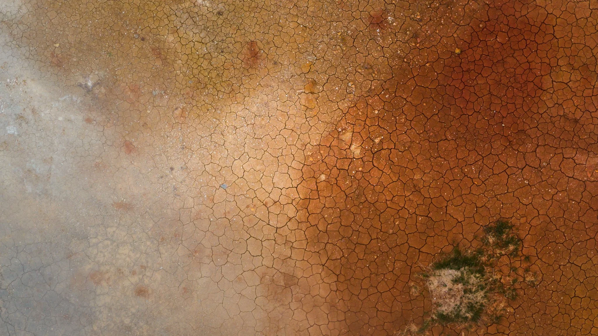 DJI_20260607123710_0529_D.jpg