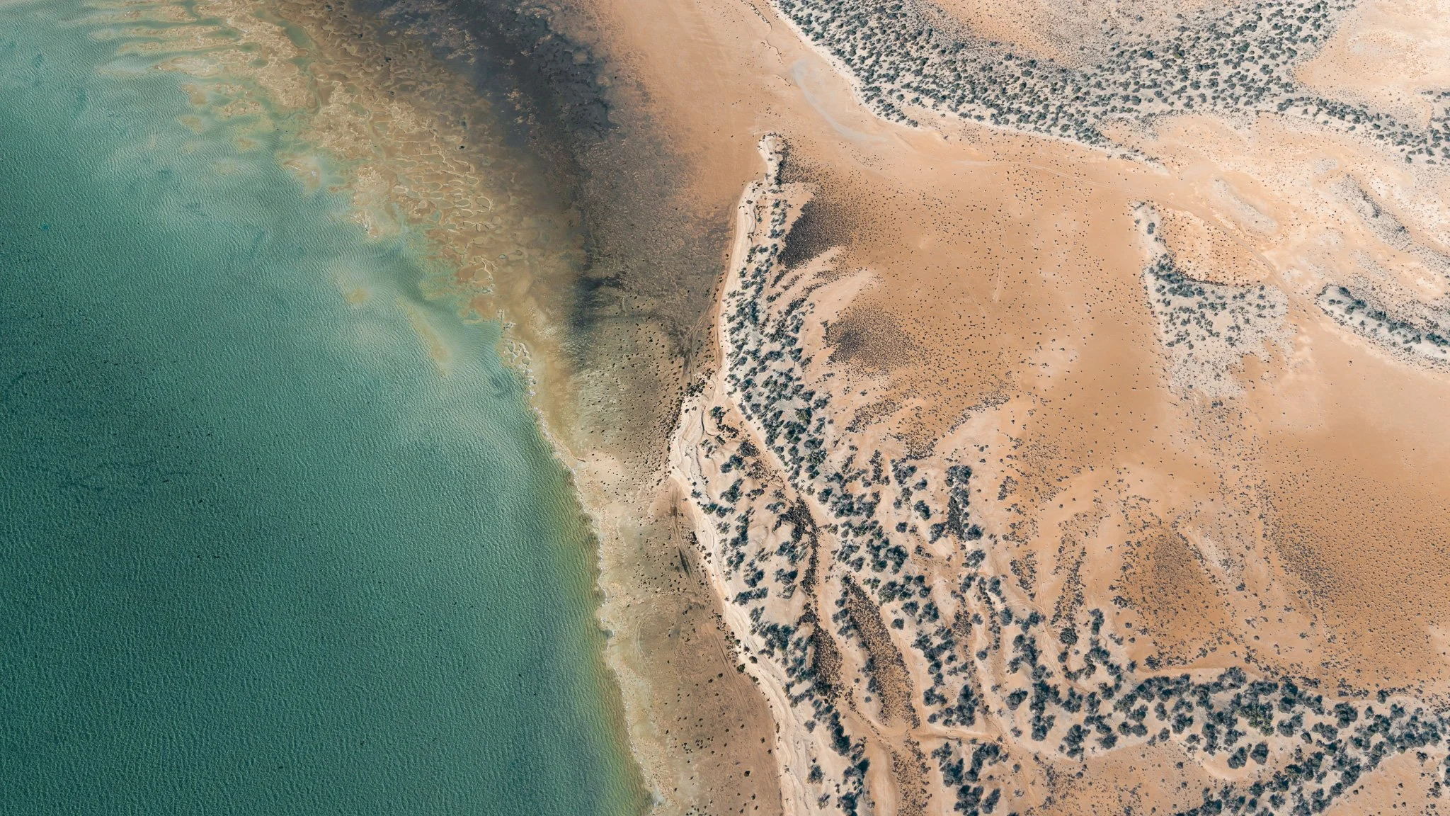 DJI_20260413021617_0950_D.jpg